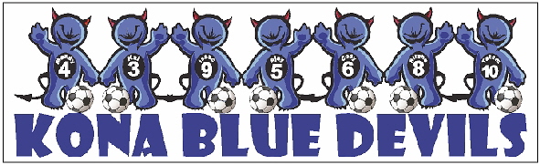 Blue Devils BSticker